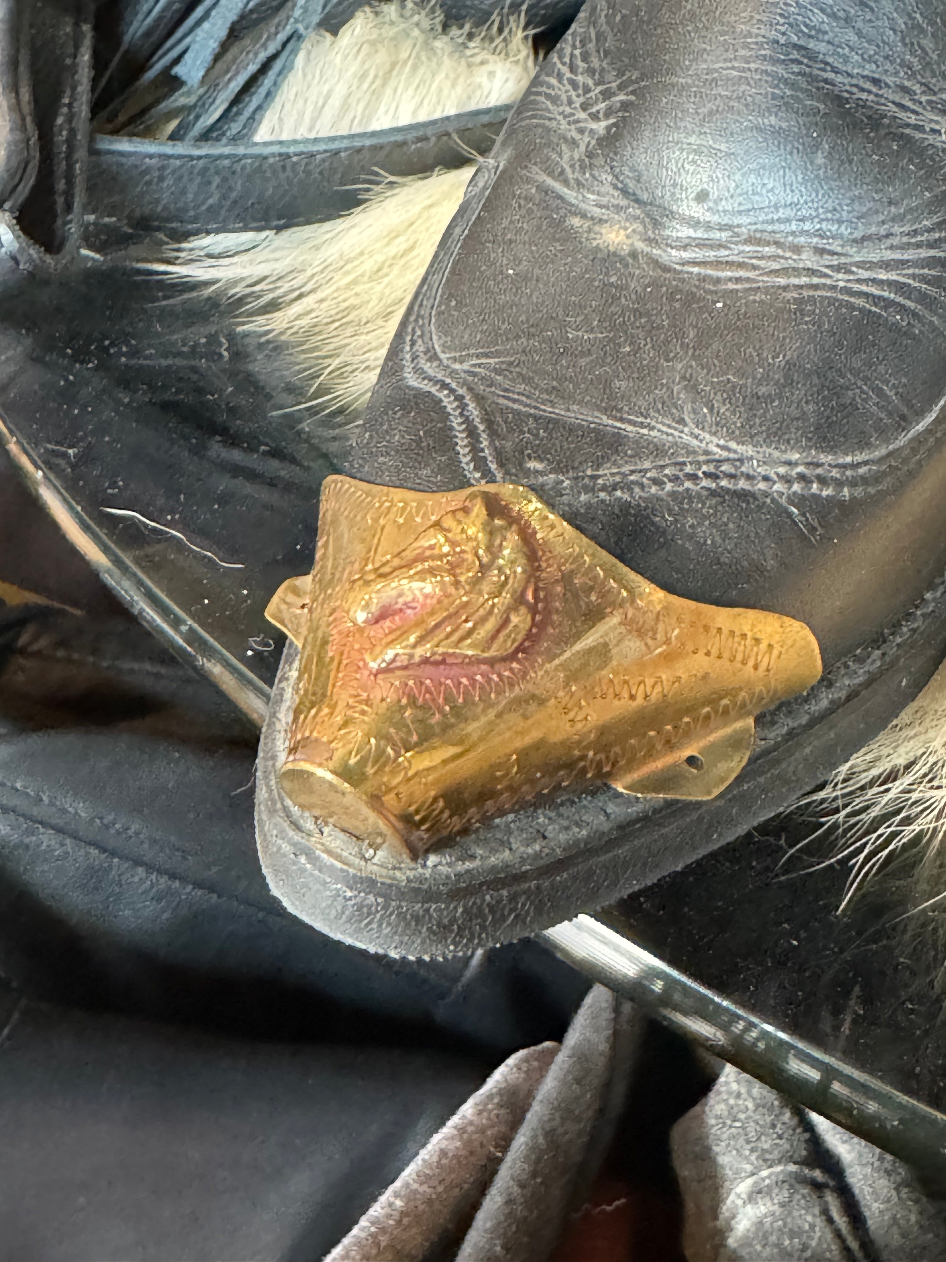 Vintage Pair of Brass Horse Boot Toe Caps