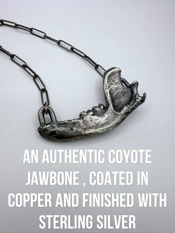 Racoon Jaw Necklace