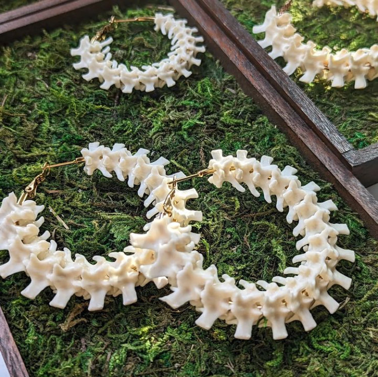 Boa Constrictor Vertebrae Medium Hoops