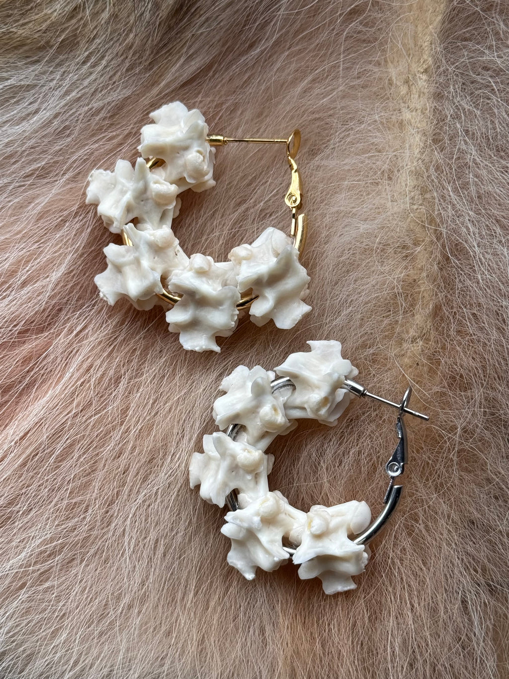 Boa Constrictor Vertebre XS Hoops