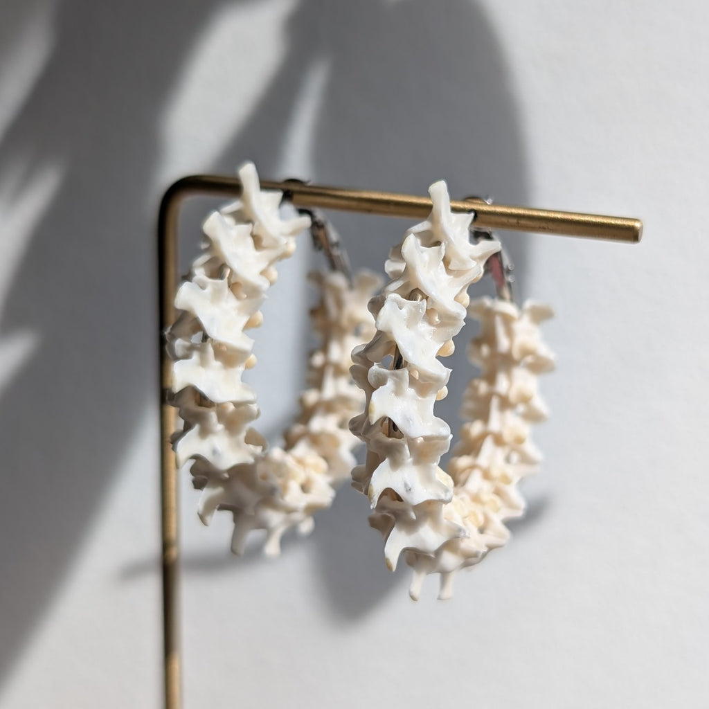 Boa Constrictor Vertebrae Small Hoops