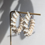 Boa Constrictor Vertebrae Small Hoops