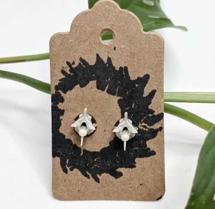 Ball Python Studs