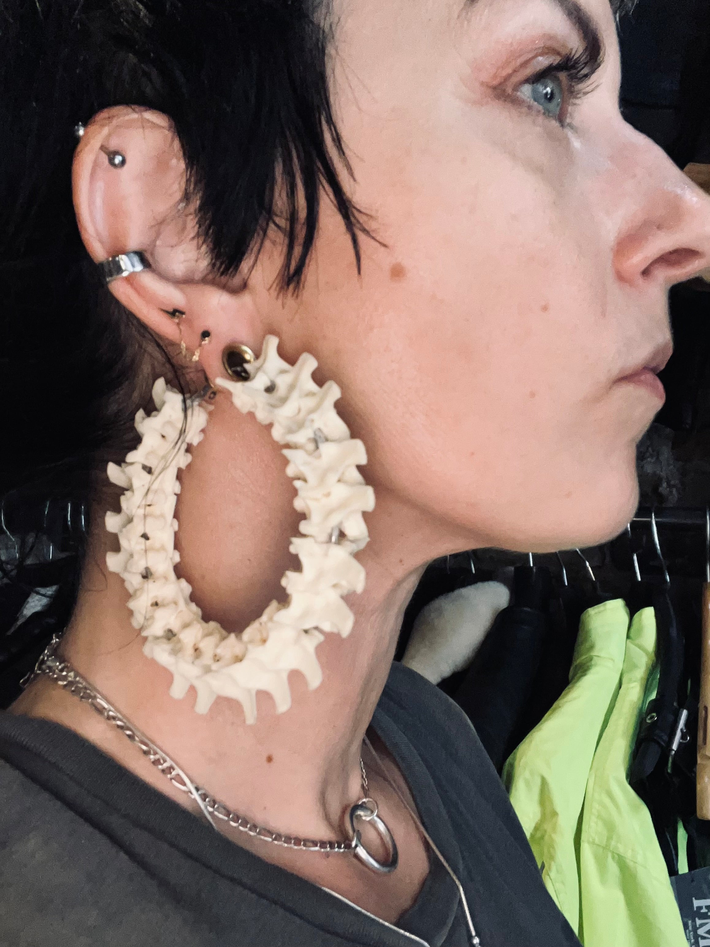 Boa Constrictor Vertebrae XL Hoops