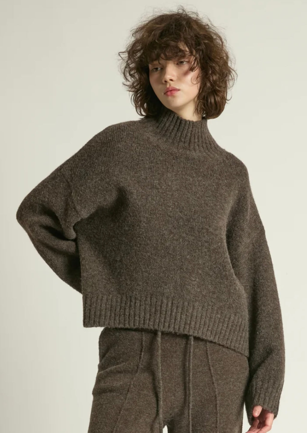 Chunky Mockneck Sweater Mocha