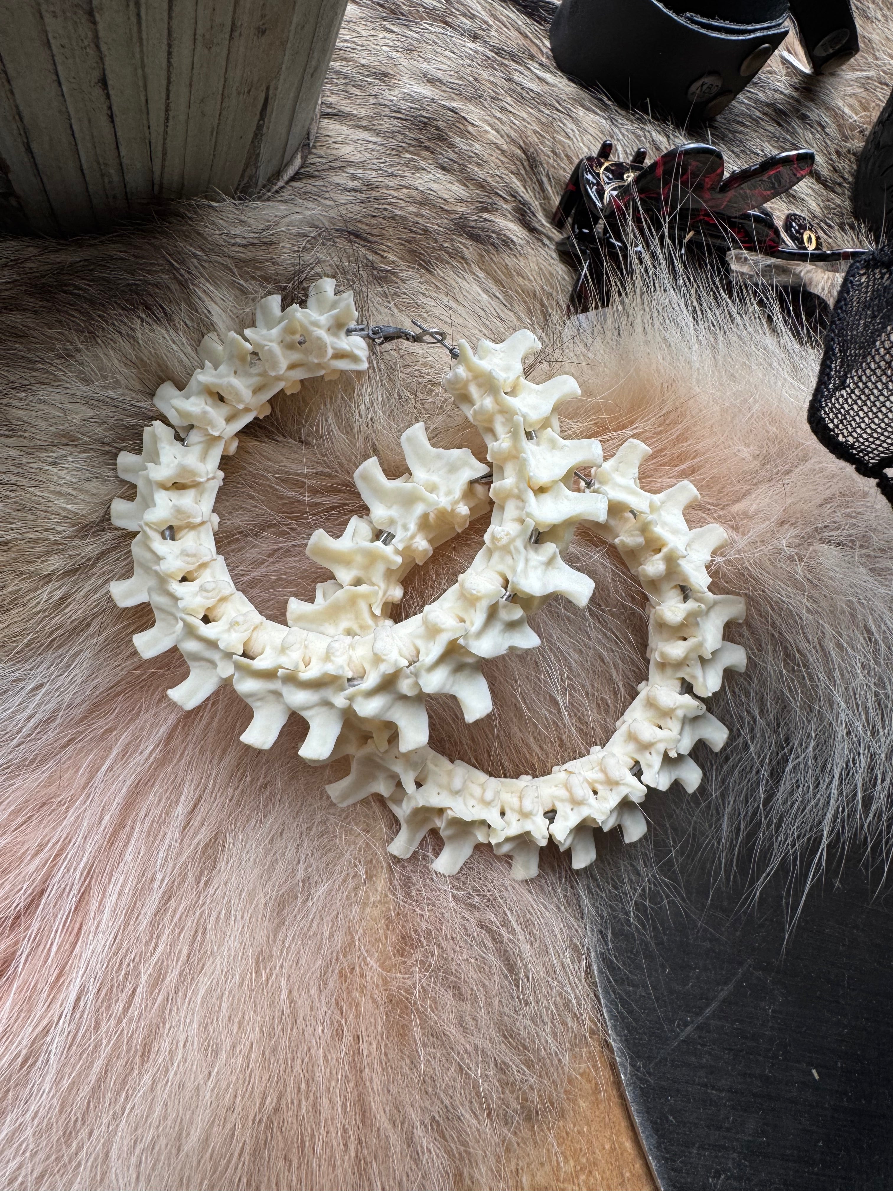 Boa Constrictor Vertebrae XL Hoops