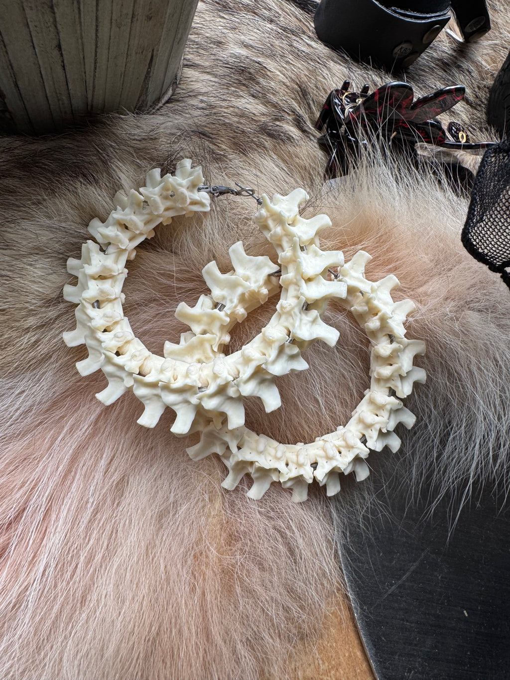 Boa Constrictor Vertebrae XL Hoops