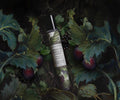 Perfume Oil Moroccan Vanilla + Cassis