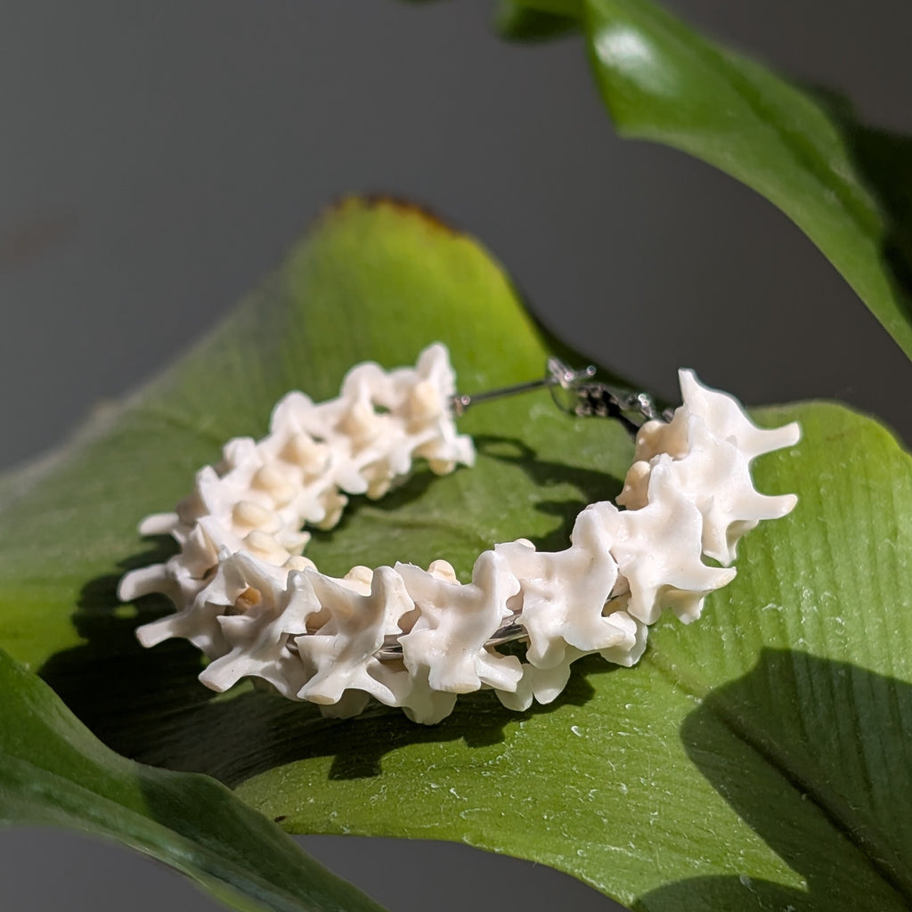 Boa Constrictor Vertebrae Large Hoops