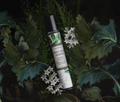 Perfume Oil Sweet Grass & Jasmine