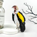 Vulture Hair Clip