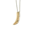 Boar Tooth Necklace