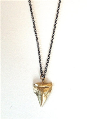 Small Shark Tooth Neck Bronze