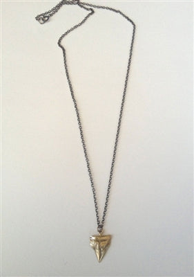 Small Shark Tooth Neck Bronze