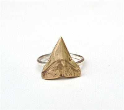 Bronze Shark Tooth Ring