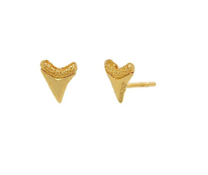 Baby Shark Tooth Earrings Gold