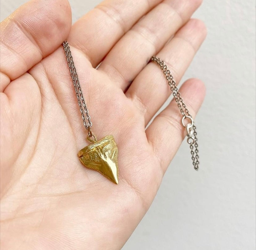 Small Shark Tooth Neck Bronze