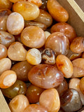 Tumbled Stones Carnelian
