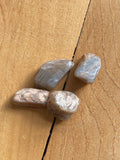 Tumbled Stones Moonstone